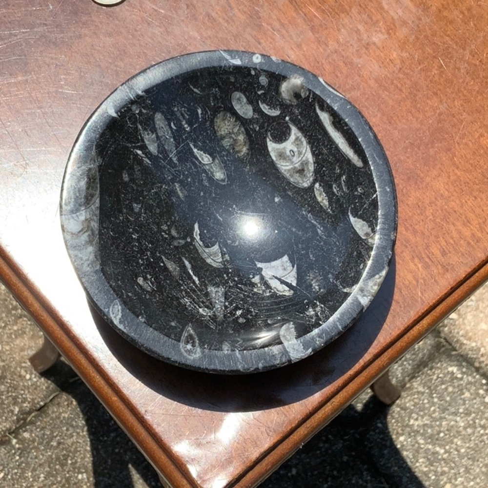 BLACK FOSSIL AMMONITE ORTHOCERAS BOWL, 4.3 INCHES